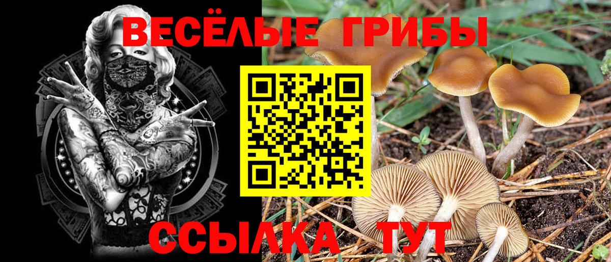 Псилоцибиновые грибы Magic Shrooms Альметьевск